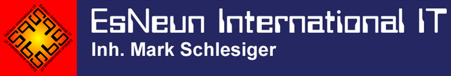 EsNeun International IT